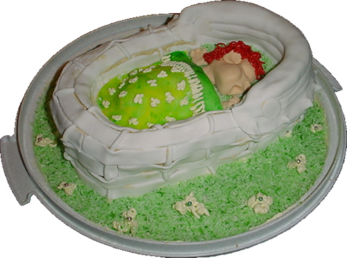 Cake of a baby basket